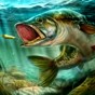 終極釣魚模擬器無限貨幣版