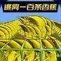 逃離恐怖香蕉