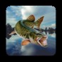 釣魚耶爾基游戲