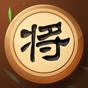 象棋玩的溜游戲
