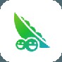 豌豆莢app2023最新版