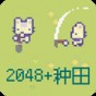 2048中文版多種模式