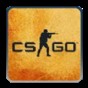 cs1.6高仿csgo
