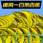 逃離恐怖香蕉游戲