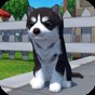 Zoom與動物Zoom最新版本