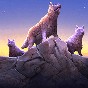 野狼與山羊模擬游戲
