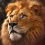 野獸領(lǐng)主新世界