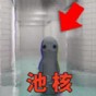 輕松養(yǎng)魚水族館