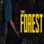 the forest雙人怎么存檔