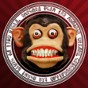 hassapp 功能介紹