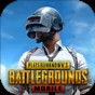 pubg國際服官網(wǎng)版下載