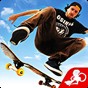 skate3(中文名滑板3)