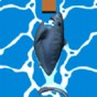 鯊魚吞咽游戲視頻