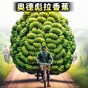 一命通關(guān)游戲