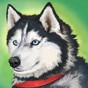 美國zoom動物(仙蹤林歡迎您)2023