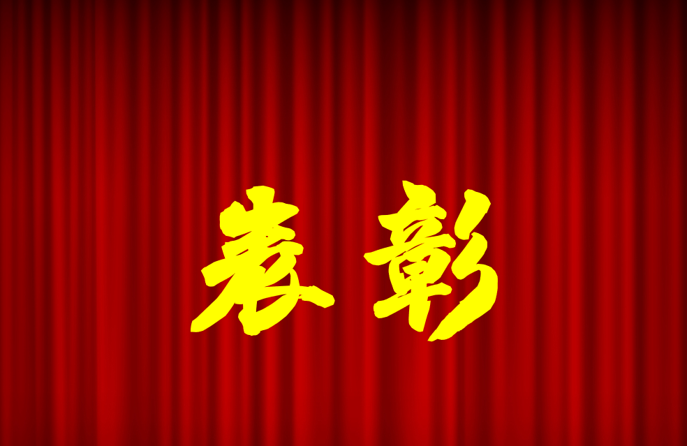 逐光前行、榮耀共鑒 | 公司2024年度表彰來啦！